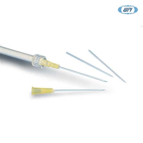 wpi glass pipette|Semicircular canal drug delivery safely targets the inner ear .